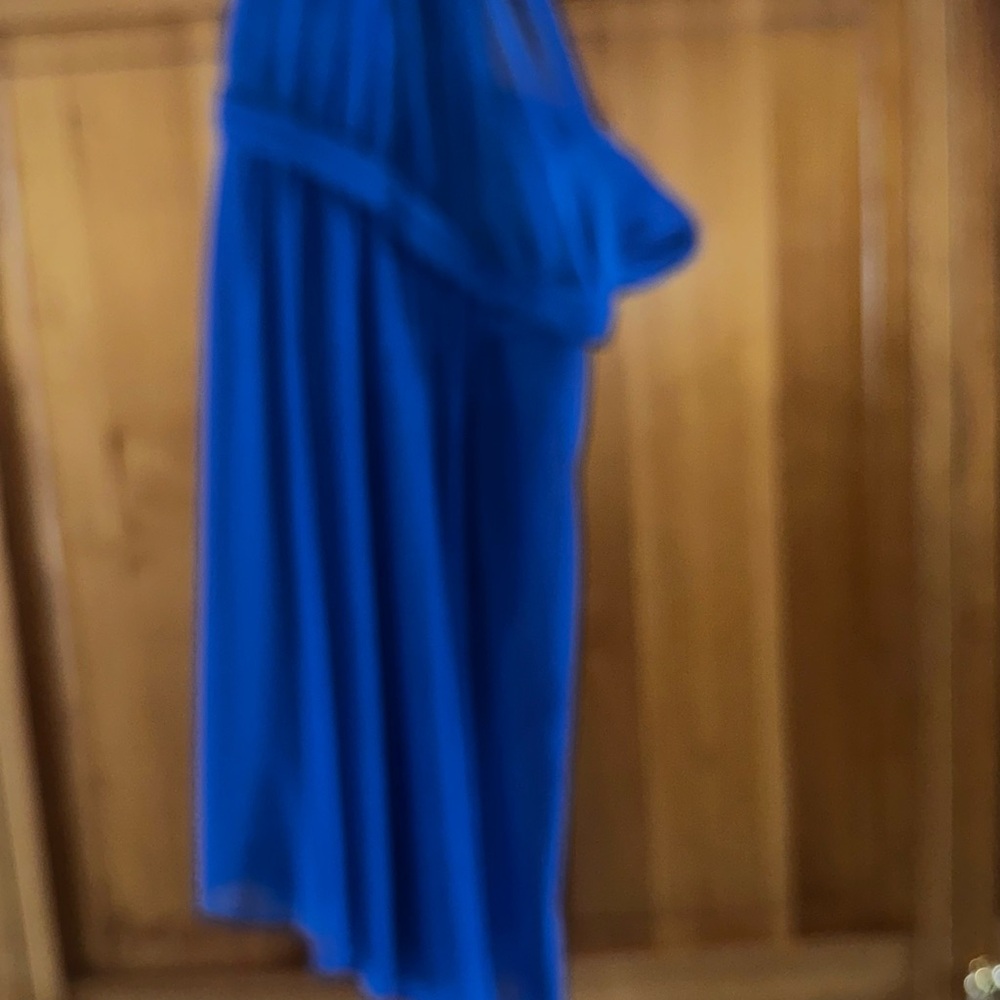 David's Bridal Vibrant Blue Gown